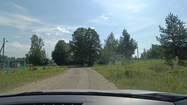 НИКОГДА НЕ ГОВОРИ НИКОГДА! //НАС ЗАЛИВАЮТ ДОЖДИ смотреть онлайн