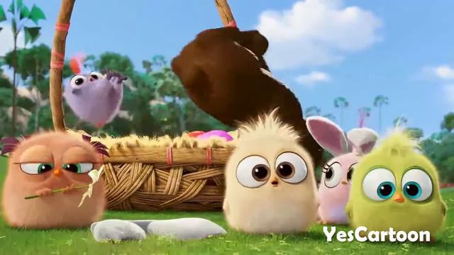 The Angry Birds Movie - The Hatchlings Funny Moments