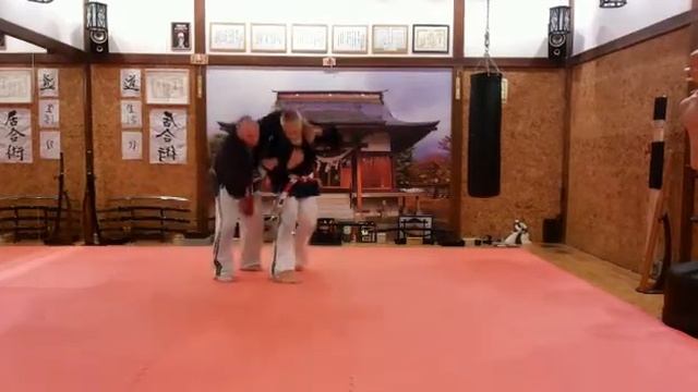 Додзё Дайтэнгукан. WJJF. Техники дзю-дзюцу. 2018.