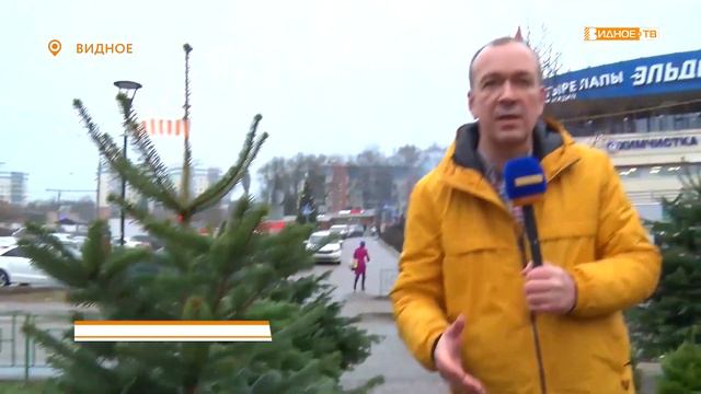 «В лесу родилась…» - в Видном открылись елочные базары смотреть онлайн