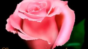 Игорь Корнилов - С Днем Рождения Лена!