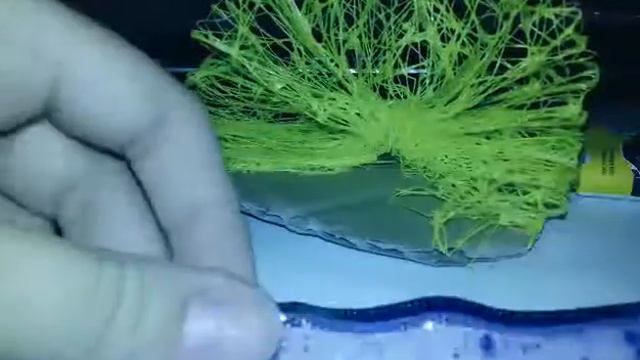 Lps Мк:Кресло ракушка смотреть онлайн