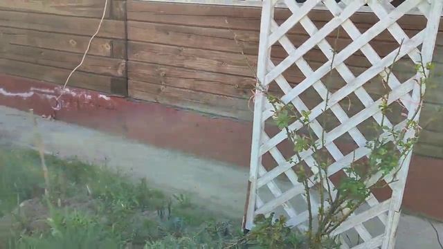 Выходные на даче .Огородные дела .Подарки. смотреть онлайн