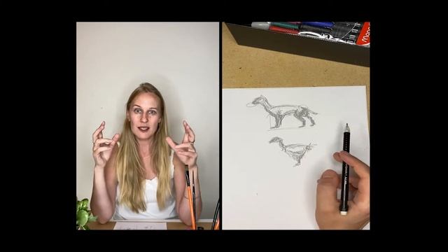 Рисуем животных | Арт школа Сморагдовой смотреть онлайн