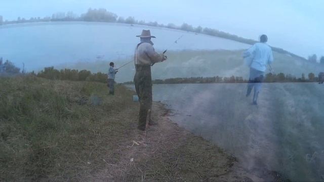 ВОБЛА. Чумачечая весна. Рыбалка на закидушку. смотреть онлайн