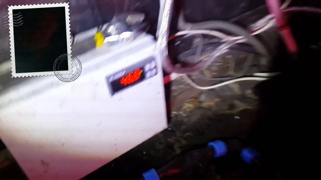 Что у меня в теплице!? смотреть онлайн