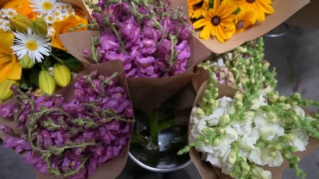$1900 Cut Flower Farmer Unboxing | Ball Seeds смотреть онлайн
