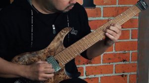 Ibanez PENTATONE (PTPRE) preamp demo «Can it Prog?»