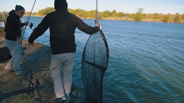 Ловля карпа и амура осенью на красивом водоеме. Тактика и особенности ловли. Спортивный карпфишинг! смотреть онлайн