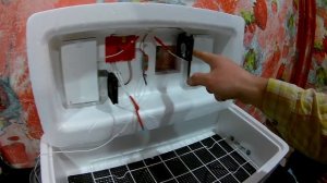 ИНКУБАТОР НЕСУШКА 36 ( первые впечатления от первого инкубатора)