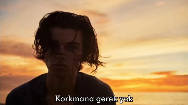 Coastline türkçe çeviri / mehro смотреть онлайн