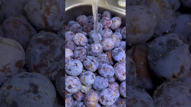 Гастрономический Разгул