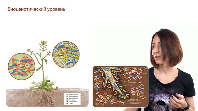 БИОЦЕНОТИЧЕСКИЙ ИЛИ ЭКОСИСТЕМНЫЙ? Уровни организации живого в ЕГЭ по БИОЛОГИИ | ЕГЭ-2024 по биологи смотреть онлайн