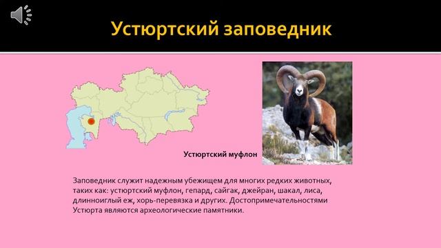 ДО. Математика. Закрепление. Заповедники Казахстана. смотреть онлайн