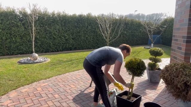 Обрабатываю деревья/благоустраиваю участок/покупки смотреть онлайн