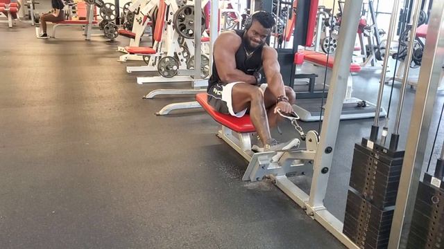 Bulking 101: The Ultimate Guide - DAY57 BACK AND BICEPS DAY