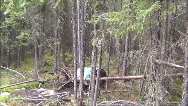Канадские отшельники. Часть 196. По лесам, и рыбалочка. смотреть онлайн