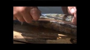 Селедочка из судака