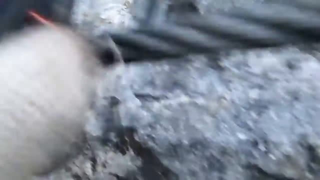 Виа феррата и троллей в Гуамском ущелье смотреть онлайн