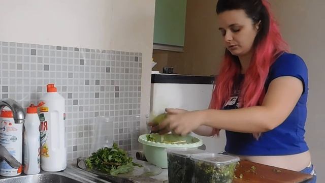 Заготовка зелени на зиму/мои запасы смотреть онлайн