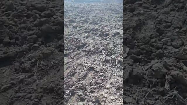 25 марта 2023 г. смотреть онлайн