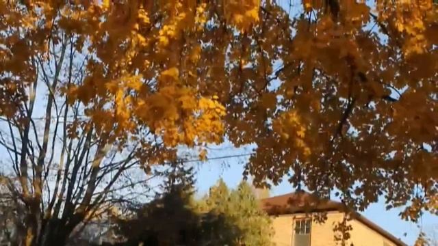 Купол церкви золотой стихи Сергей Меркулов смотреть онлайн