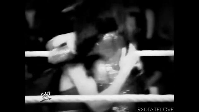 Bella Twins - RollerCoaster MV