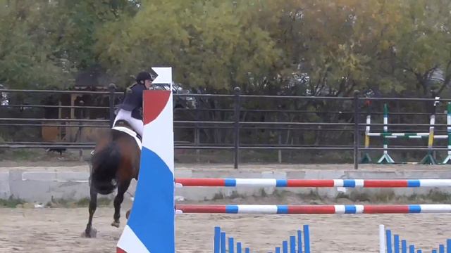 Кузнецова Татьяна на Флоризеле (КСК Флоризель) - до 110 см (Кубок губернатора Ам. области-2016) смотреть онлайн