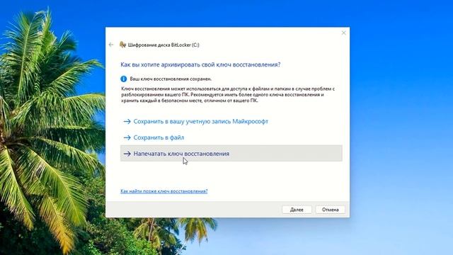 Как включить Bitlocker в Windows 11 смотреть онлайн