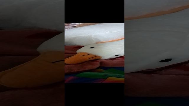 Это видео длится 2 секунды 😨😁😆