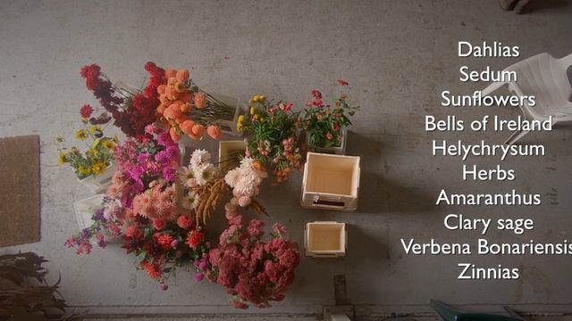 Cut flowers available this month - October 2017 смотреть онлайн