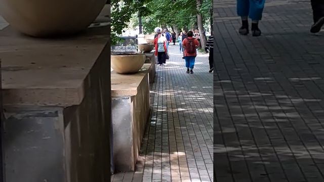 Кисловодск река Ольховка пение птиц смотреть онлайн