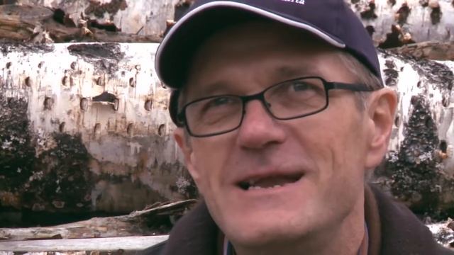 Котельные на древесных отходах. Преимущества для местной экономики смотреть онлайн