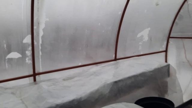 Теплица осталась без отопления. Спасаю рассаду. Что делать, если на долго отключили электричество. смотреть онлайн