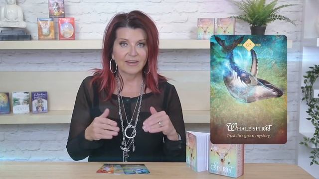 Oracle Card Guidance and Lesson for November 19th-25th смотреть онлайн