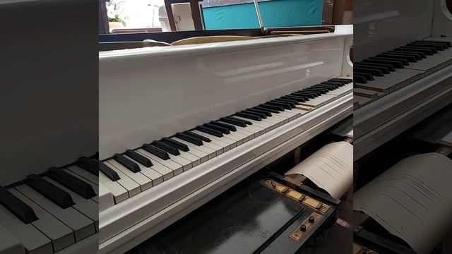 An der schonen blauen Donau (Strauss are. Schulz-Evler) played by Josef Lhevinne : AMPICO 67563 смотреть онлайн