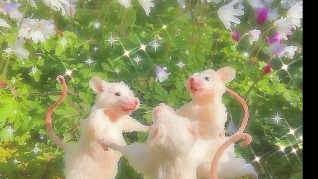 СИЛЬНАЯ ИСЦЕЛЯЮЩАЯ МЕДИТАЦИЯ длядуши и тела • ПЕРЕЗАГРУЗКА смотреть онлайн