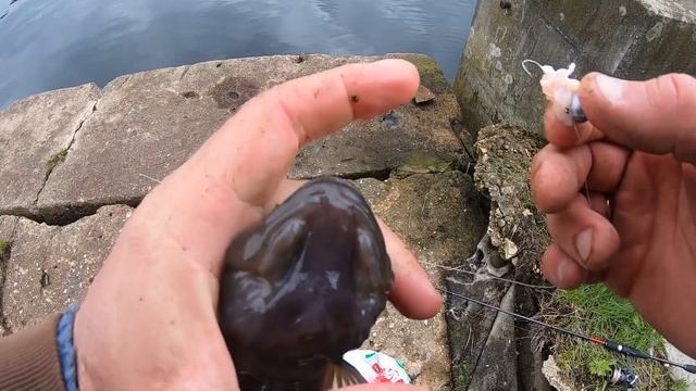 Бычок в Рижском заливе! смотреть онлайн