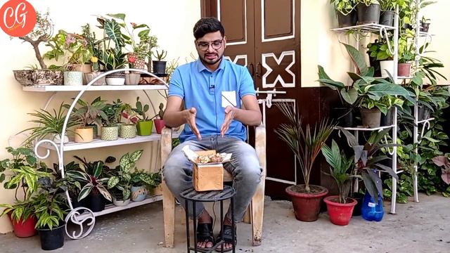 Winter flowering bulbs Unboxing from Urban Garden | Asiatic Lilly, Lillium, Freesia, Chincherinchi смотреть онлайн