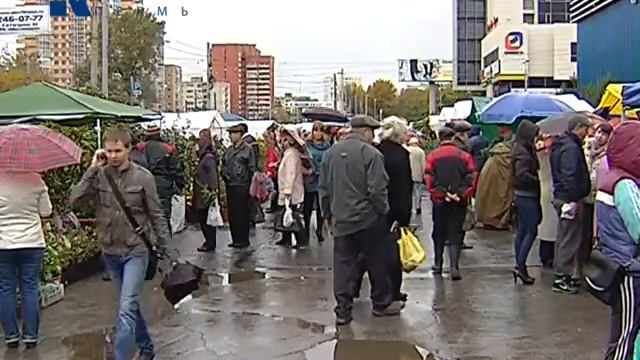 выставка "Осенний сад и огород 2012" смотреть онлайн