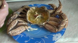 КРАБЫ, КАК И ЧТО В НИХ МОЖНО ЕСТЬ , КРАБ ВОЛОСАТИК, КАК ПРАВИЛЬНО РАЗДЕЛАТЬ КРАБА