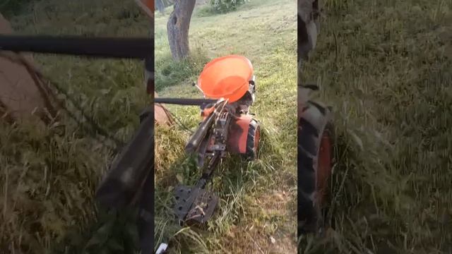 Проснулся утром, Блин , Трактор по огороду ездит!Копаем картошку с соседями .Беларусь,Август2022 смотреть онлайн