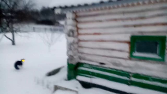 А у Нас СНЕГОПАД!!! Шикарная ПОГОДА!!!👍👍👍🙂💖 10 декабря 2022г. смотреть онлайн