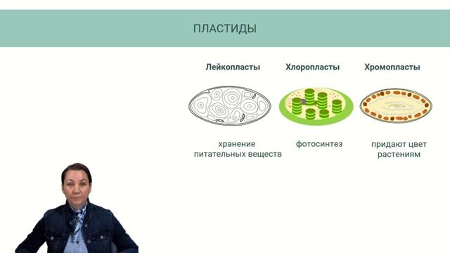 Содержание и методика преподавания сложных тем в школьном курсе биология смотреть онлайн