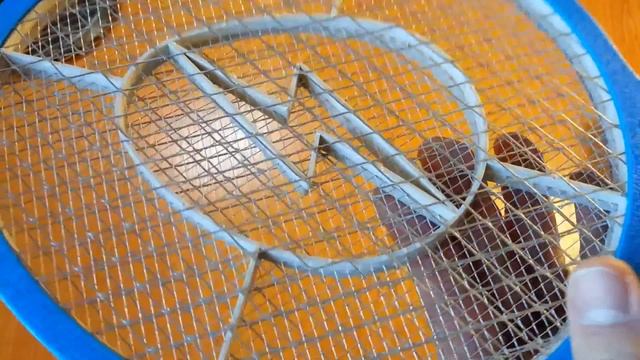 Охота на насекомых с электрической мухобойкой MD013 от Aliexpress. смотреть онлайн