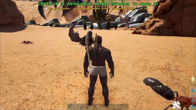 A-Z Of Ark! The DIMORPHODON And Why Its The Best Shoulder Pet!! || Ark Survival Evolved! смотреть онлайн