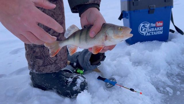 ОТЛИЧНАЯ РЫБАЛКА🦈 #рыбалка #рыбалка2022 #рыбалкаиохота #рыбалкаскомфортом #рыбалочка #like #nice