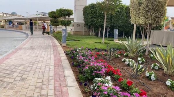 Albatros Blu Resort Sharm El Sheikh и Albatros Aqua Park Sharm El Sheikh