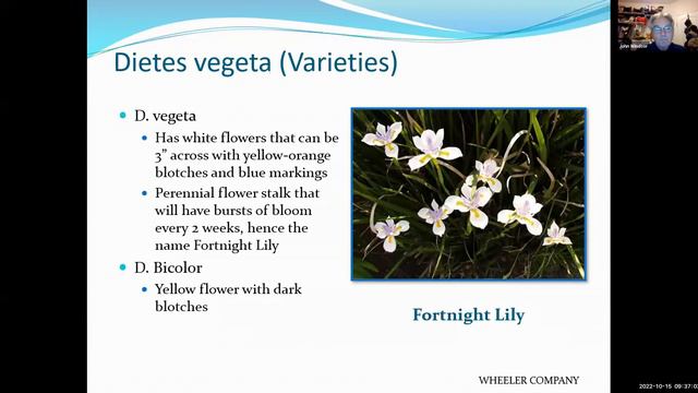 Gardening Class: Perennials and Natives for the SCV смотреть онлайн