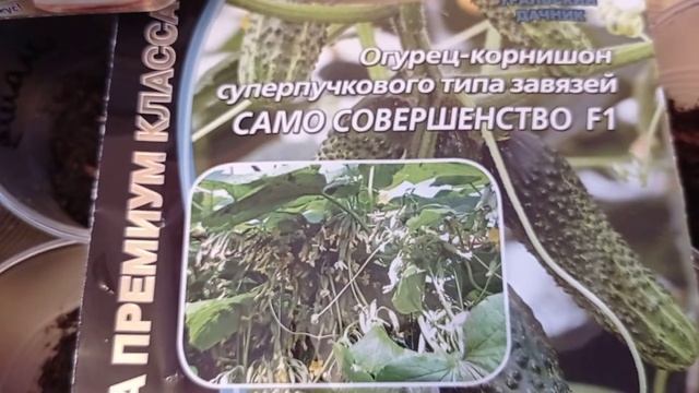 Огурец Мэлс F1 и другие любимые огурцы, пора сеять. 08.04.21 смотреть онлайн